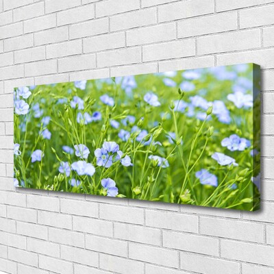 Canvas print Flowers grass nature purple green