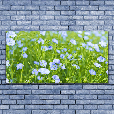 Canvas print Flowers grass nature purple green