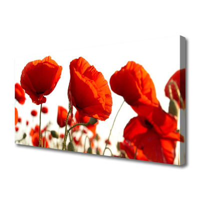 Canvas print Poppies floral red