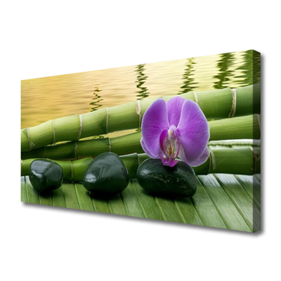 Canvas print Flower stones bamboo stalks floral pink black green