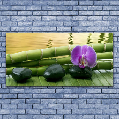 Canvas print Flower stones bamboo stalks floral pink black green