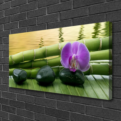 Canvas print Flower stones bamboo stalks floral pink black green