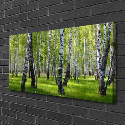 Canvas print Forest nature black white green