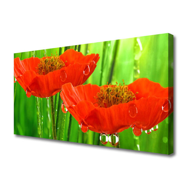 Canvas print Poppies floral red green