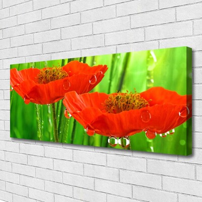 Canvas print Poppies floral red green