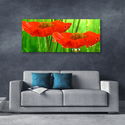 Canvas print Poppies floral red green