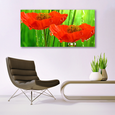 Canvas print Poppies floral red green