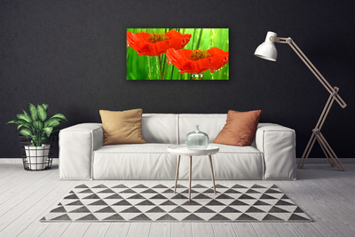 Canvas print Poppies floral red green