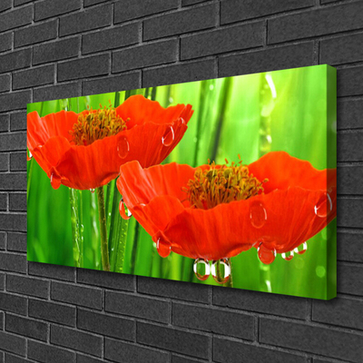 Canvas print Poppies floral red green