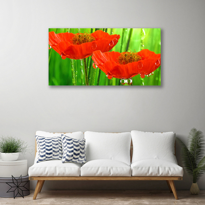 Canvas print Poppies floral red green