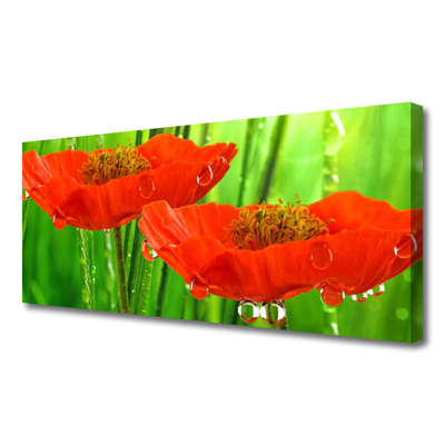 Canvas print Poppies floral red green