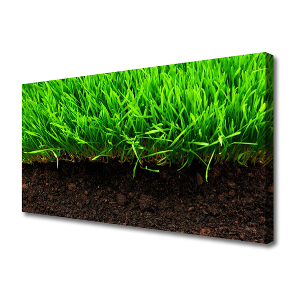 Canvas print Grass nature green