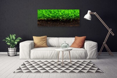 Canvas print Grass nature green