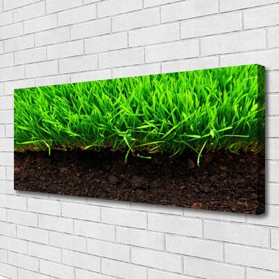 Canvas print Grass nature green