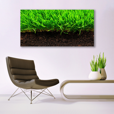 Canvas print Grass nature green