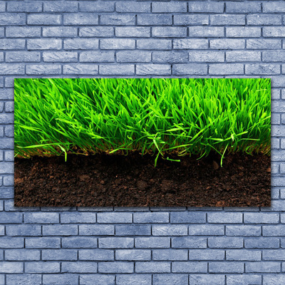 Canvas print Grass nature green