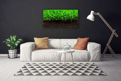 Canvas print Grass nature green