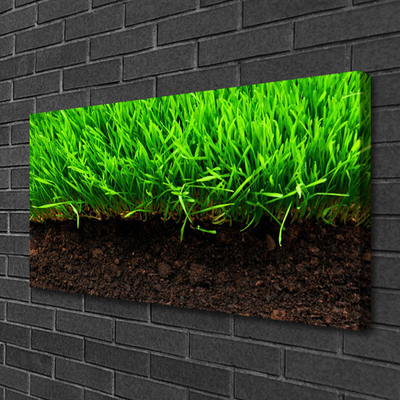 Canvas print Grass nature green