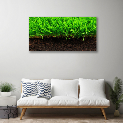 Canvas print Grass nature green