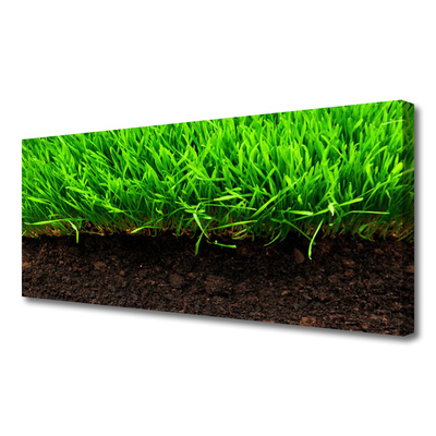 Canvas print Grass nature green