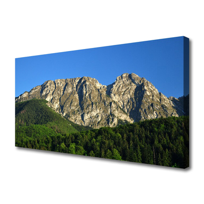 Canvas print Mountain forest nature grey green