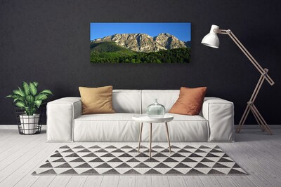 Canvas print Mountain forest nature grey green