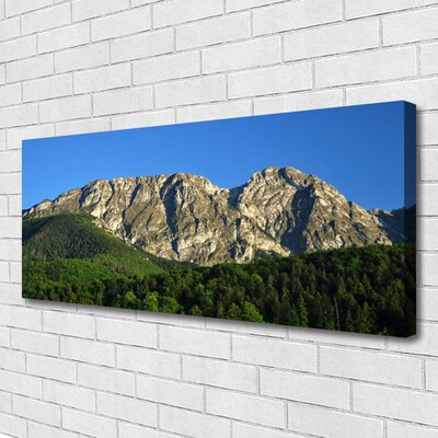 Canvas print Mountain forest nature grey green