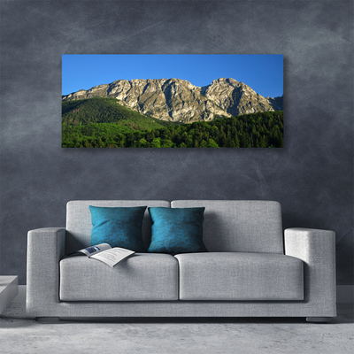 Canvas print Mountain forest nature grey green