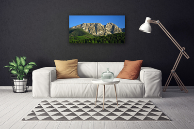 Canvas print Mountain forest nature grey green