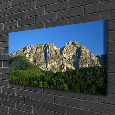 Canvas print Mountain forest nature grey green