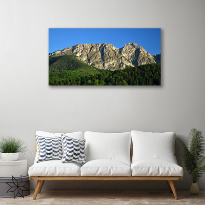 Canvas print Mountain forest nature grey green