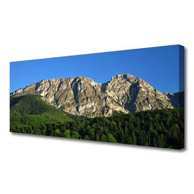 Canvas print Mountain forest nature grey green