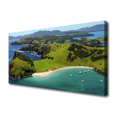 Canvas print Sea beach forest landscape blue brown green