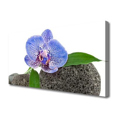 Canvas print Flower floral purple green