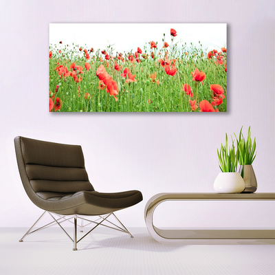 Canvas print Poppies nature red green