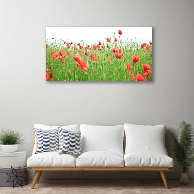 Canvas print Poppies nature red green