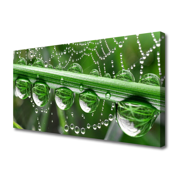 Canvas print Spider web dewdrops floral white