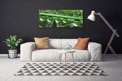 Canvas print Spider web dewdrops floral white