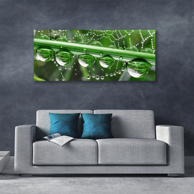 Canvas print Spider web dewdrops floral white