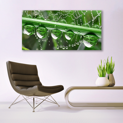 Canvas print Spider web dewdrops floral white