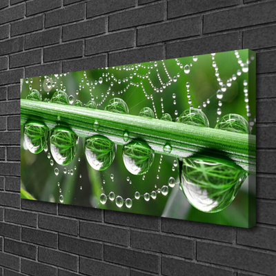 Canvas print Spider web dewdrops floral white