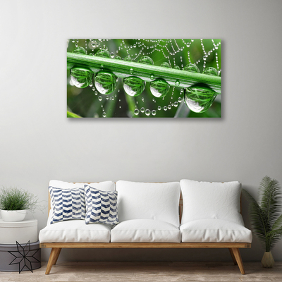 Canvas print Spider web dewdrops floral white