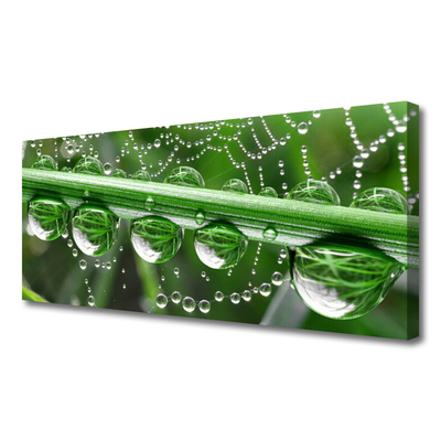 Canvas print Spider web dewdrops floral white