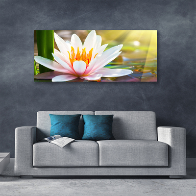 Canvas print Flowers floral white pink