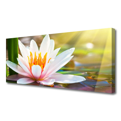 Canvas print Flowers floral white pink