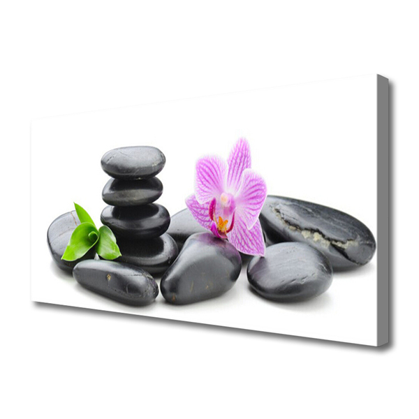 Canvas print Flower stones art pink black