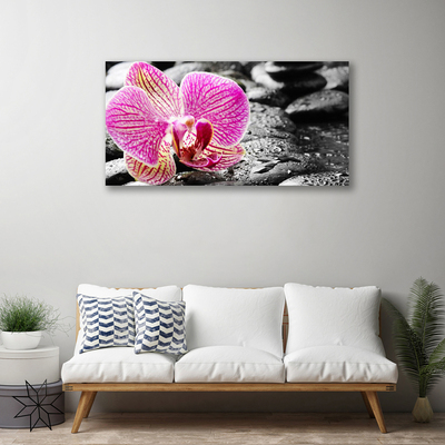 Canvas print Flower stones floral pink black