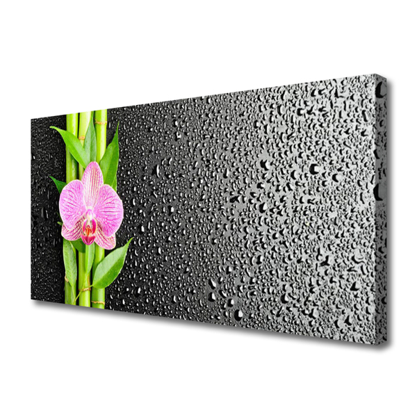 Canvas print Bamboo stalk flower floral pink green