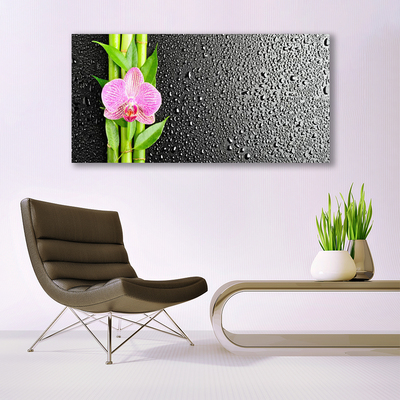 Canvas print Bamboo stalk flower floral pink green