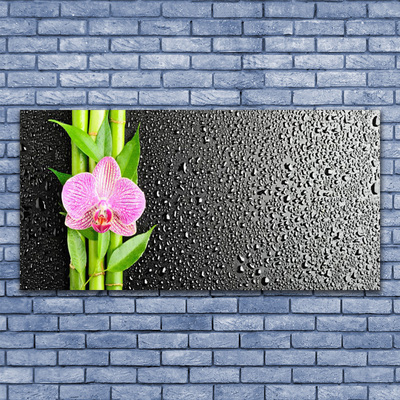 Canvas print Bamboo stalk flower floral pink green